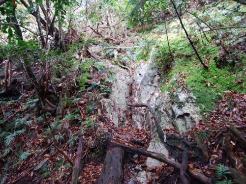 鎖場がでてきた。これがまた滑りやすい