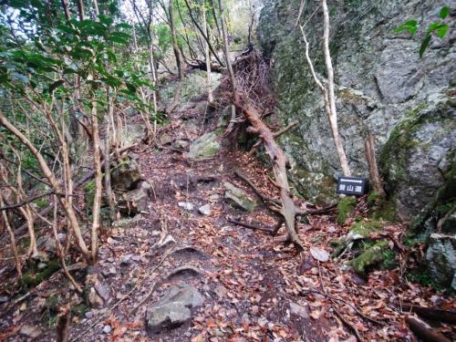 登山道に従って進んでいく