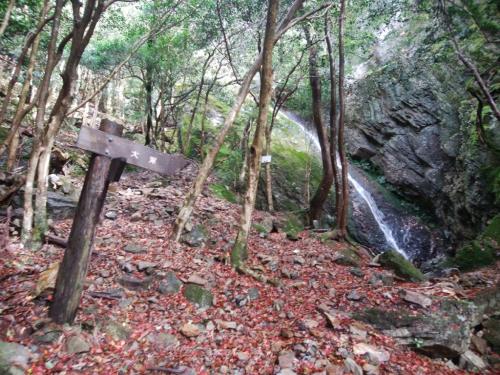 大滝に到着。ここで一休み