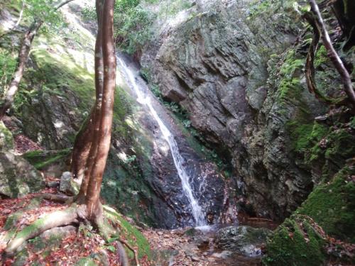 大滝というだけあって、今までの滝より大きいけど、知ってる大滝よりショボかったｗ