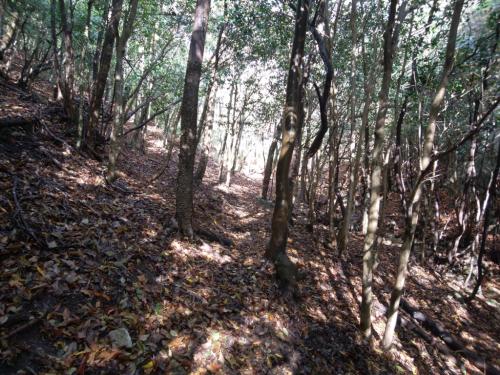 道なりに進んでいく