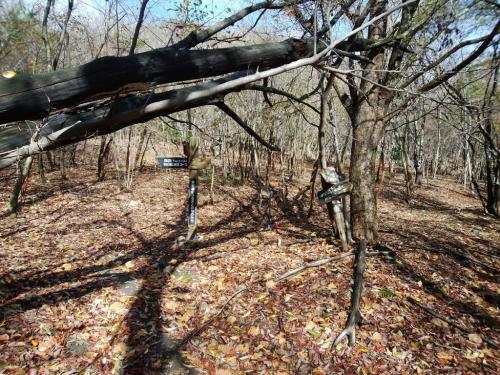 ここで周回コースから外れる