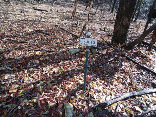やっとでてきた八ヶ尾山への道標