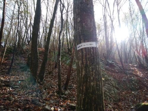 少し歩くと木にも巻き付いていた。峠を経てってそのまんまやんｗ