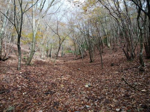 ここからは道なき道を谷を詰めて進んでいく