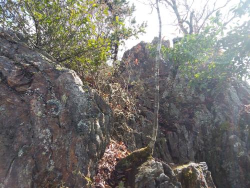 こういう岩場を巻くか登るかしていく