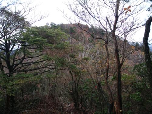 八ヶ尾山のピークが見えた。まだもうちょいあるのね