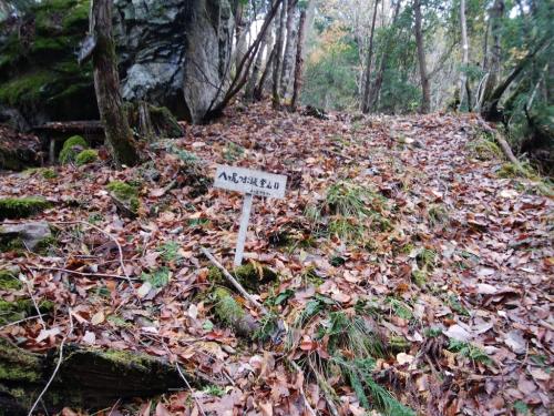 つまご坂登山口まで下りてきました