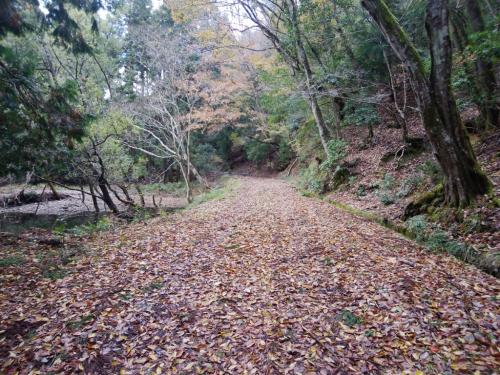 林道の終わりまで歩く。その後、また登りが始まる