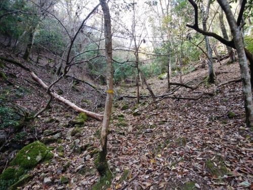 ここで黄色のテープがあったけど、この通り進んでいったらかなりコースアウトしたので無理矢理尾根に乗った