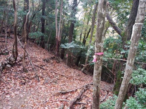 地図上のコル部のところ。ここから下る方向にはピンクテープがひたすら貼っていたので、それ頼りに下っていく