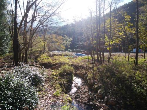 下りが終わったところで広くなった場所に出る