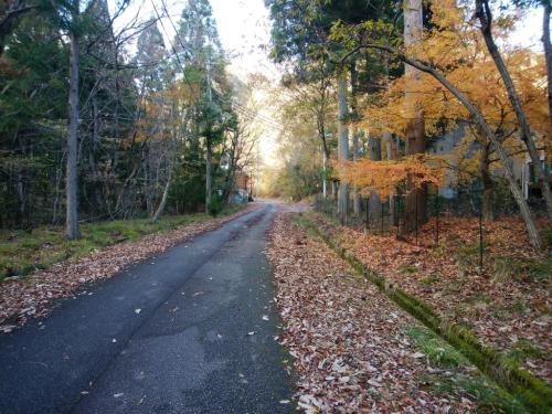 道路に出て筱見四十八滝入り口まで歩く