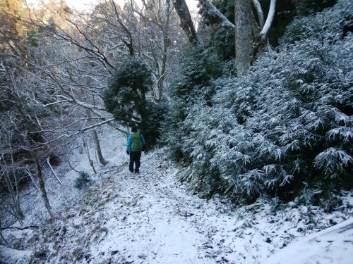ちらっと積もった雪道をテクテクと歩いていく