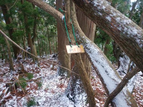 P813。この付近のピークは全部プレートがあるのかな！？