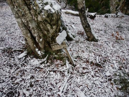 ここで分岐。大段谷山のほうへいきます