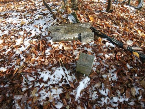 三角点とプレートがあったけど、もはや何書いてるかわからない