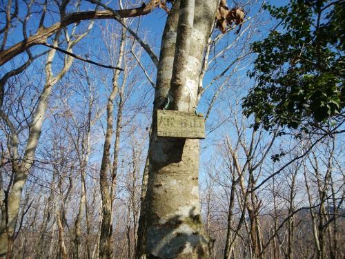 こっちにもあった大段谷山のプレート