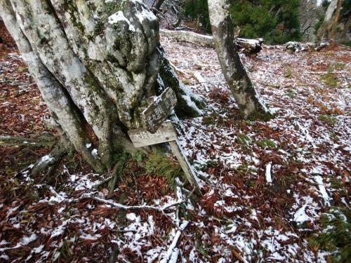分岐に戻った。ひでぶーさんが雪を落としたので道標が見えるようになっていた
