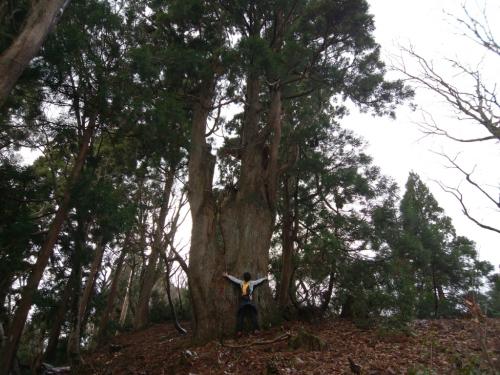 こっちは大杉かな？またひでぶーさんモデルにパシャッと