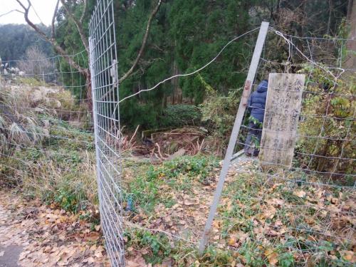 こっちはおまけでかやぶきの里付近。鉄塔からかやぶきの里を見るために入山