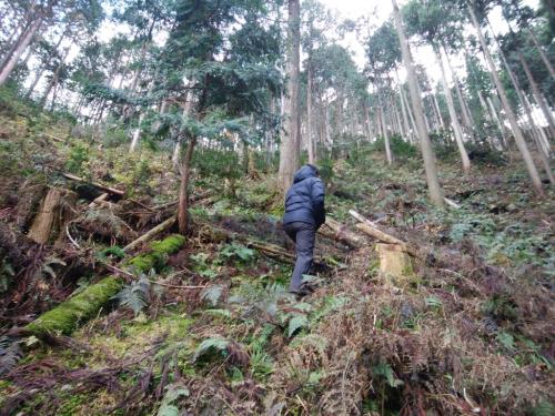 結構な急登をのぼっていく