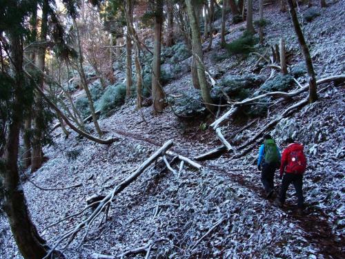 以下からは頂いた画像です