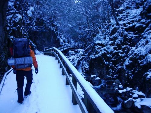 すっかり雪ですな