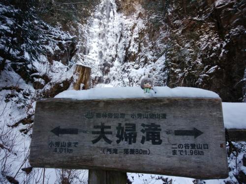 ここで雪村あおいちゃんにも登場してもらう