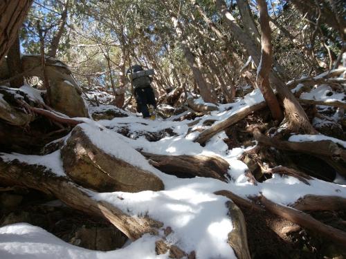 ここが結構デンジャー。12本爪アイゼン持ってくればよかったと後悔する