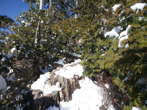 この付近でカモシカ渡りが終わりなのかな！？