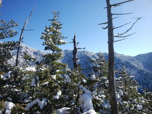 いい感じの雪山と青空♪