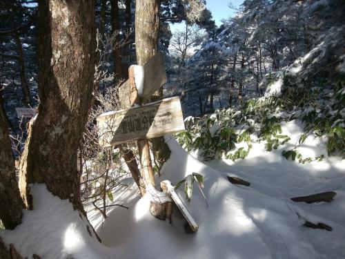 分岐までやってきました