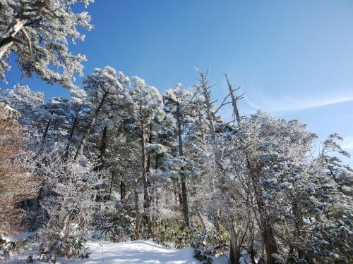 青と白のコントラスト。素晴らしいの一言