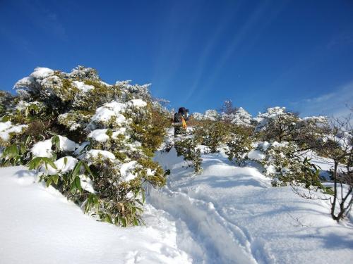 結構な急登を登る。青空がいいねえ～