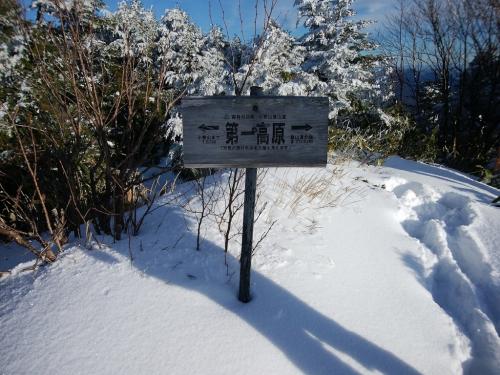 第一高原に到着。まだあと1.8kmもあるのね