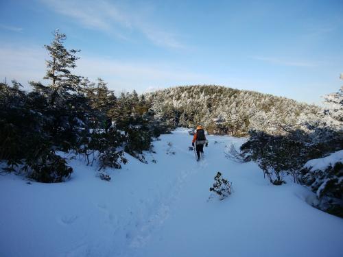 稜線を歩いていくけど、結構なアップダウンが続く