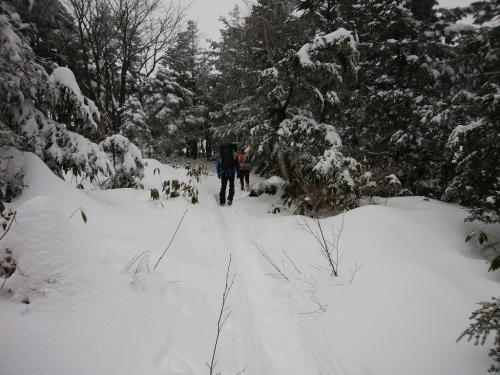 下っていきます