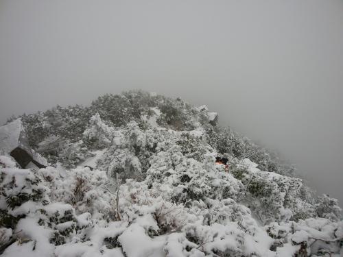 こういうガスなのも雪山っぽいんだけどね