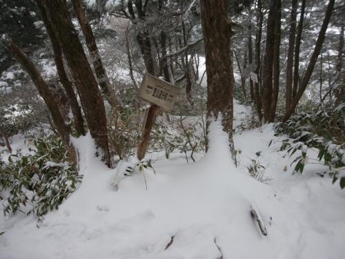 分岐まで来ました。三の谷登山口へ下っていきます