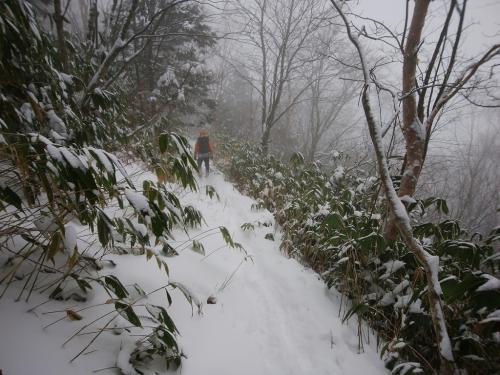 なんの変化もない単調な下り。ジグザグが多かった道