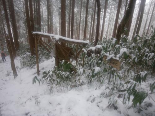 山の神まで下りてきました