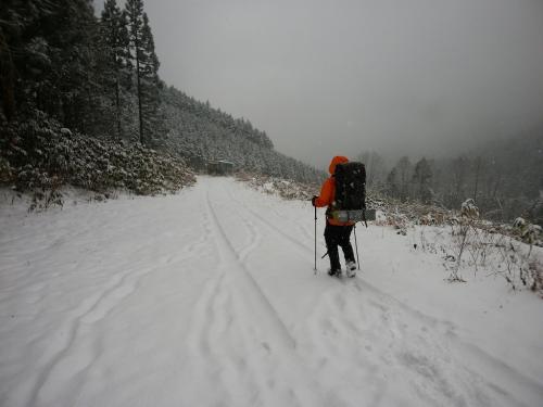 さて、これから長い林道を歩いていく