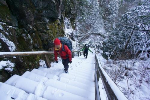 ありがとうございました。