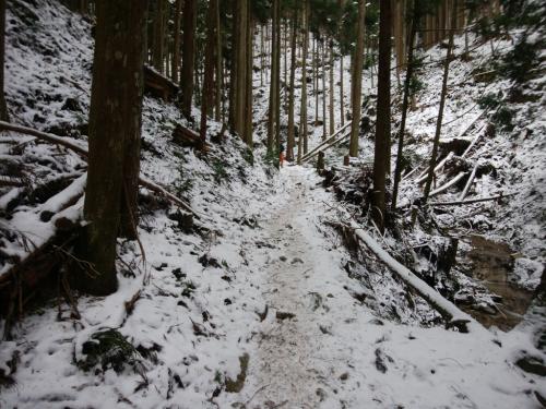 最初はこんな道が続く