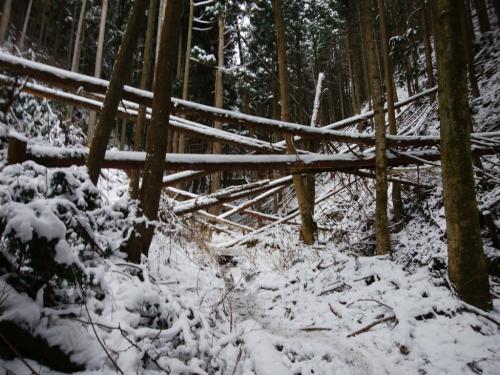 結構荒れた道もあり