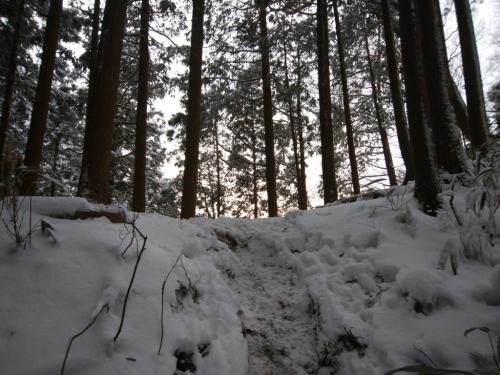 ここで尾根と合流。右へ