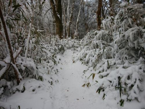 尾根に出ると雪の量が一気に増えた