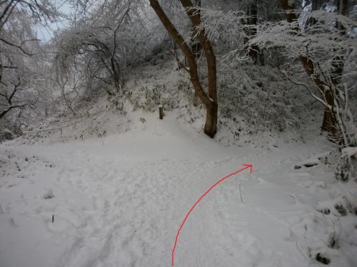 ここでカトラ谷との分岐。カトラ谷は今崩落していて通れないらしい