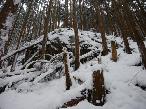 プチ氷瀑がありました